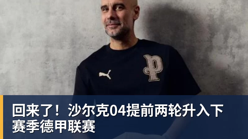 回来了!沙尔克04提前两轮升入下赛季德甲联赛