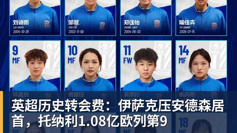 乐冠体育英超历史转会费：伊萨克压安德森居首，托纳利1.08亿欧列第9